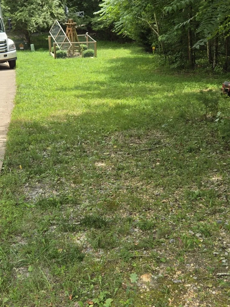 Reliable yard cleanup service in Chattanooga, TN - Carvers Helping Hands