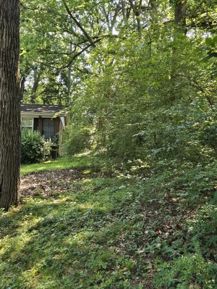 Custom garden landscaping for beautiful yards across Chattanooga, TN - Carvers Helping Hands