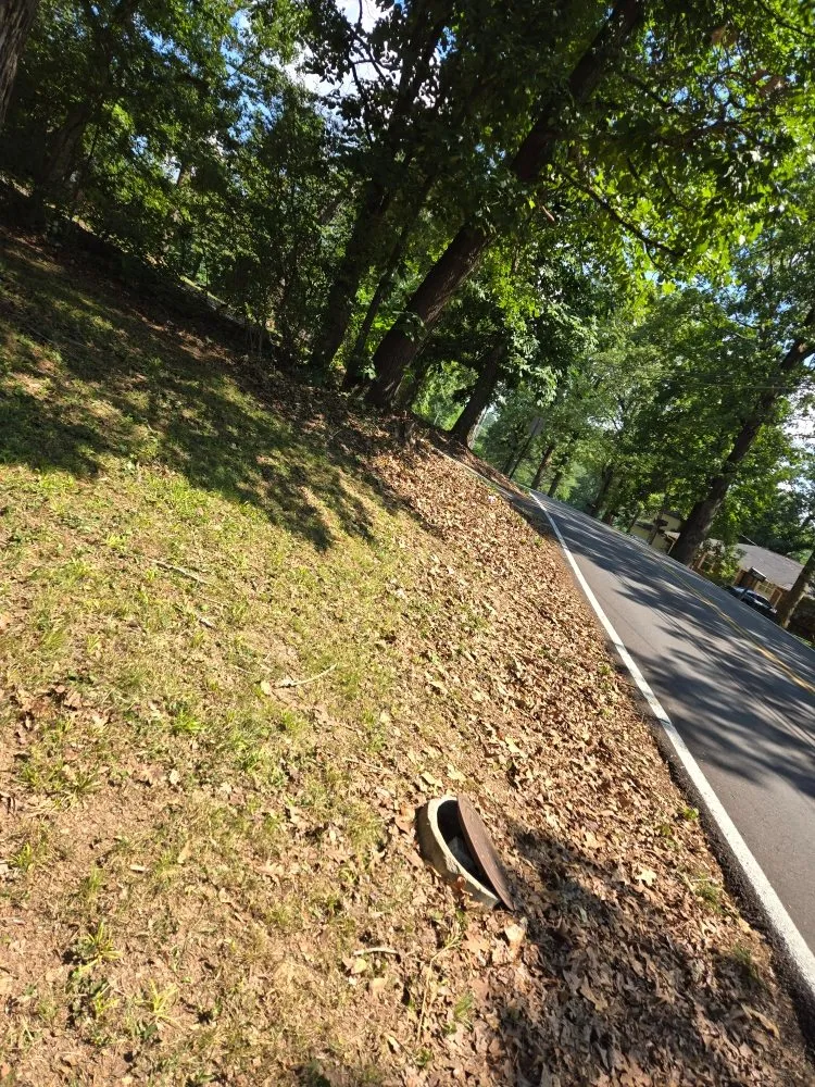 Trusted lawn mowing service in Chattanooga, TN by Carvers Helping Hands