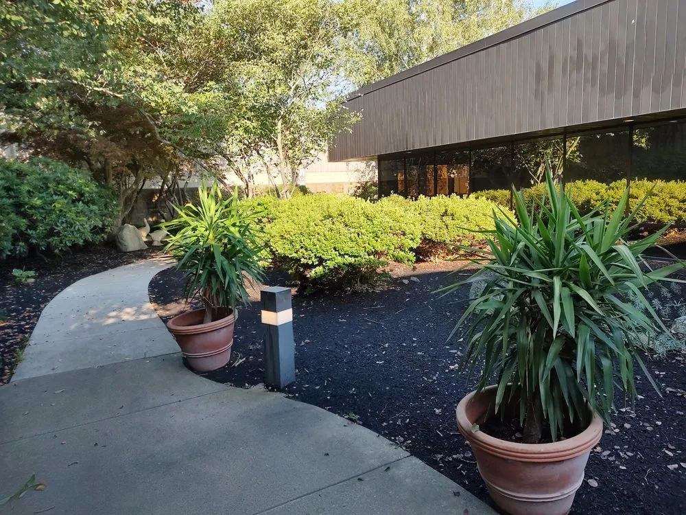 Custom yard maintenance for outdoor upgrades in Amesbury, MA by Carving For The Cure