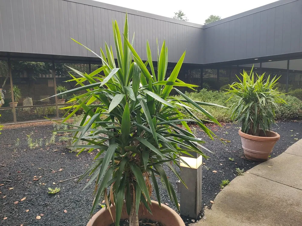 Custom landscape design near you in Amesbury, MA by Carving For The Cure