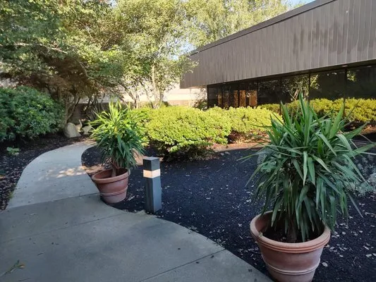 Carving For The Cure Logo