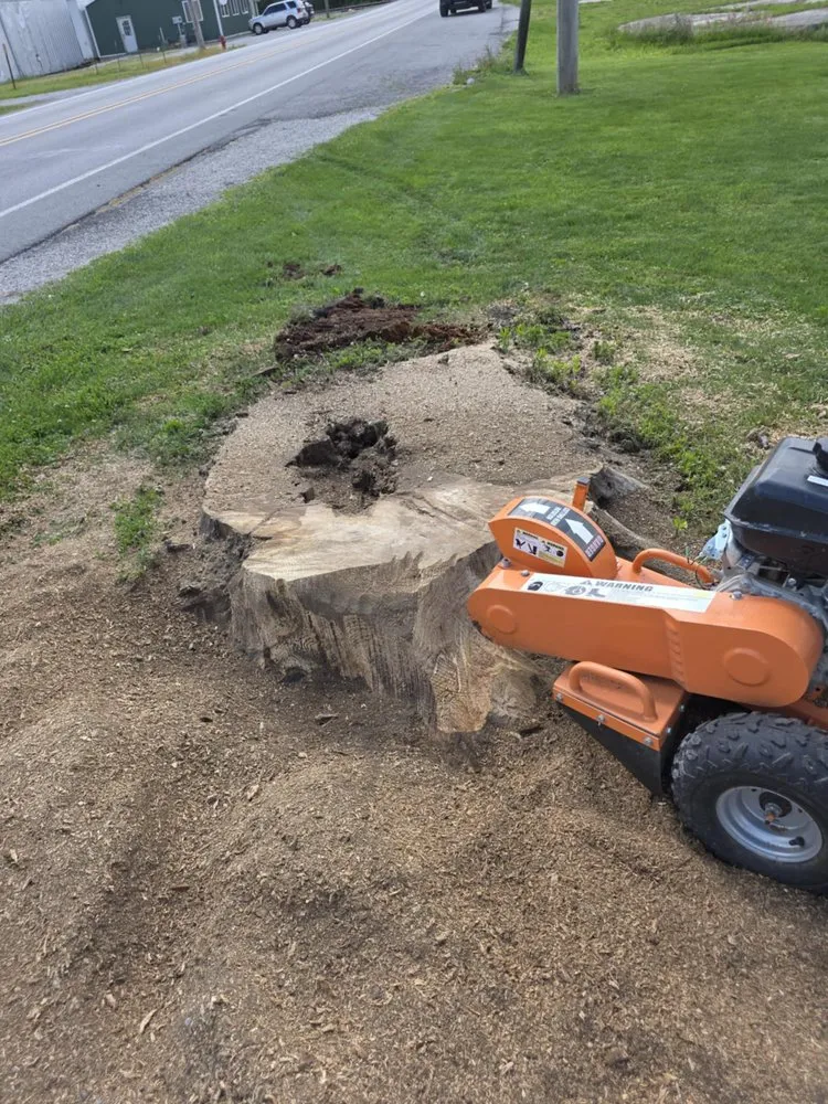 Top-rated garden landscaping in Ladoga, IN - Cary's Lawncare Services