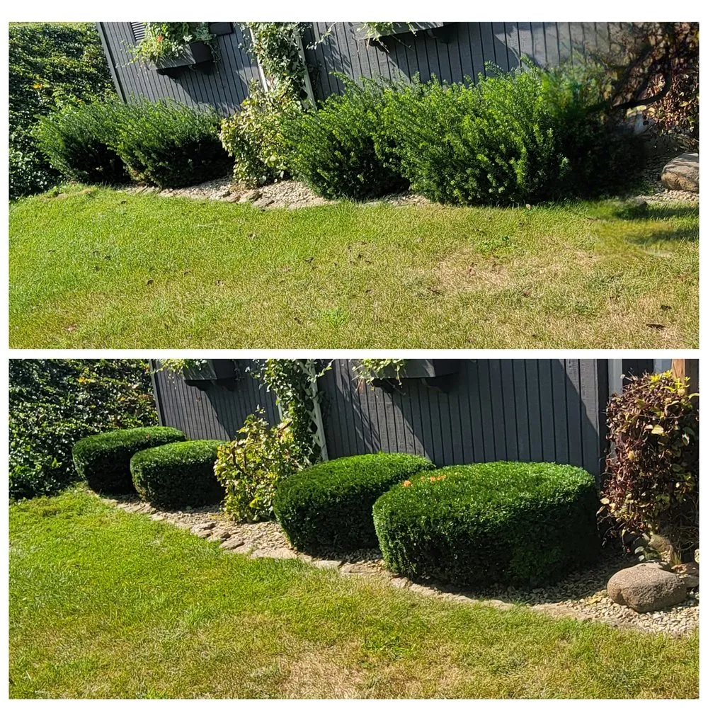 Trusted outdoor landscaping in Ladoga, IN - Cary's Lawncare Services