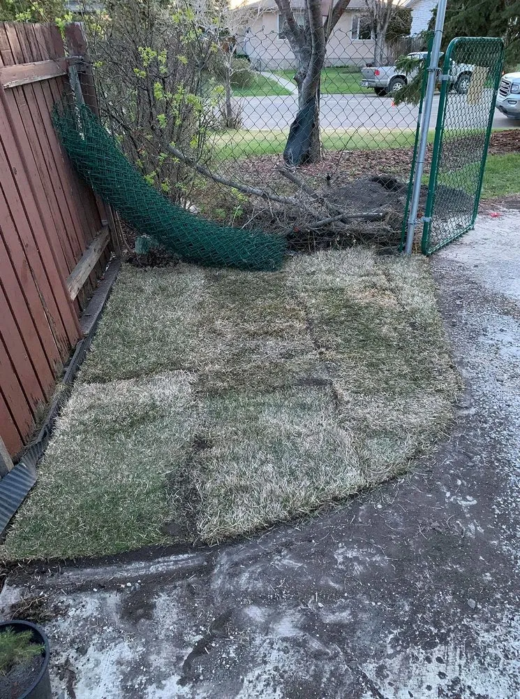 Custom yard maintenance in Richmond, VA - Carytown Lawn Services