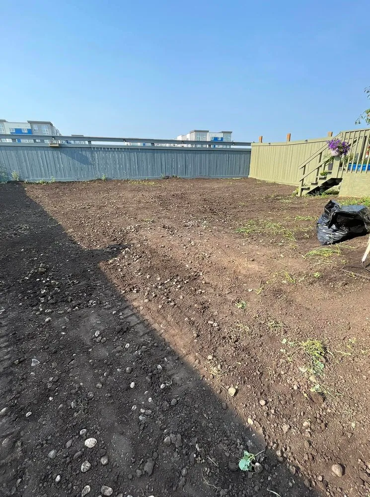 Professional outdoor landscaping experts serving Richmond, VA - Carytown Lawn Services