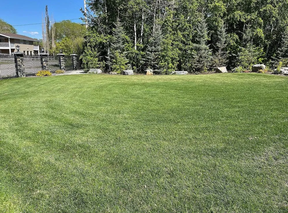 Reliable yard maintenance in Richmond, VA by Carytown Lawn Services