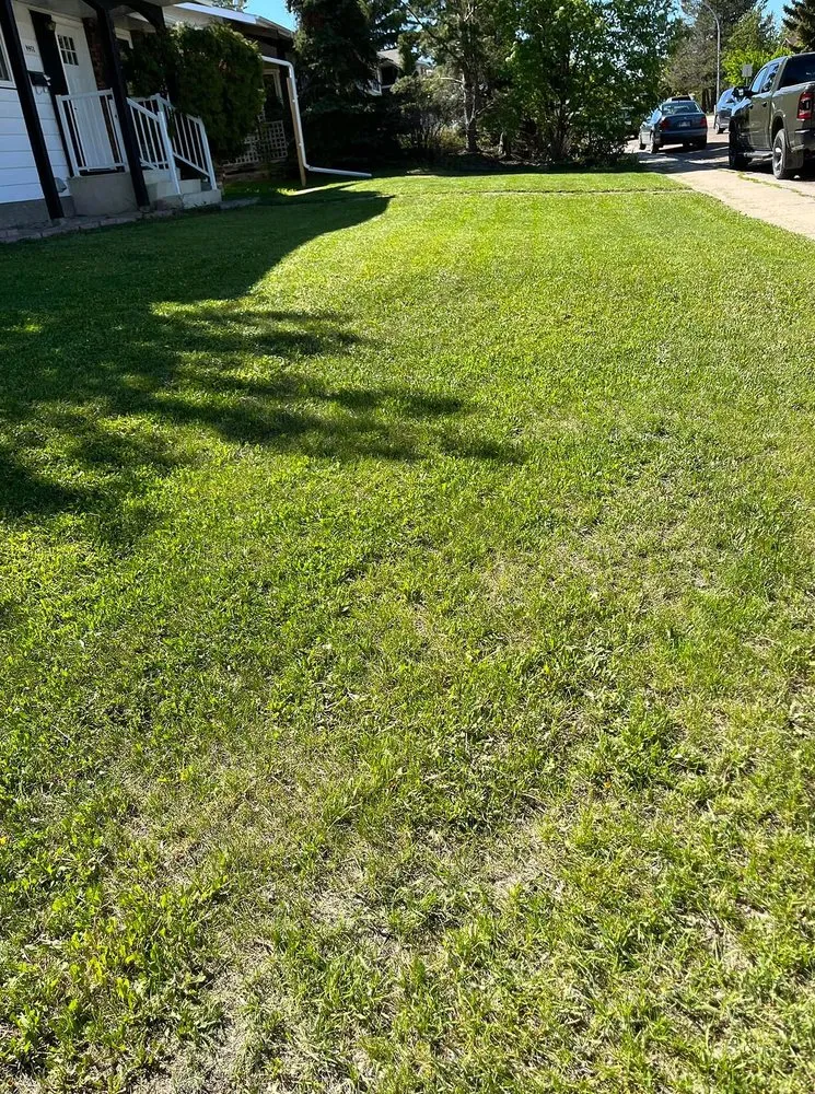 Reliable lawn care service for year-round maintenance across Richmond, VA - Carytown Lawn Services