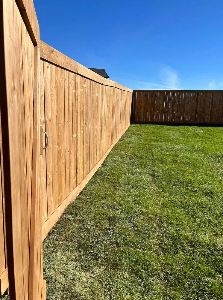 Expert outdoor landscaping for beautiful yards across Richmond, VA - Carytown Lawn Services