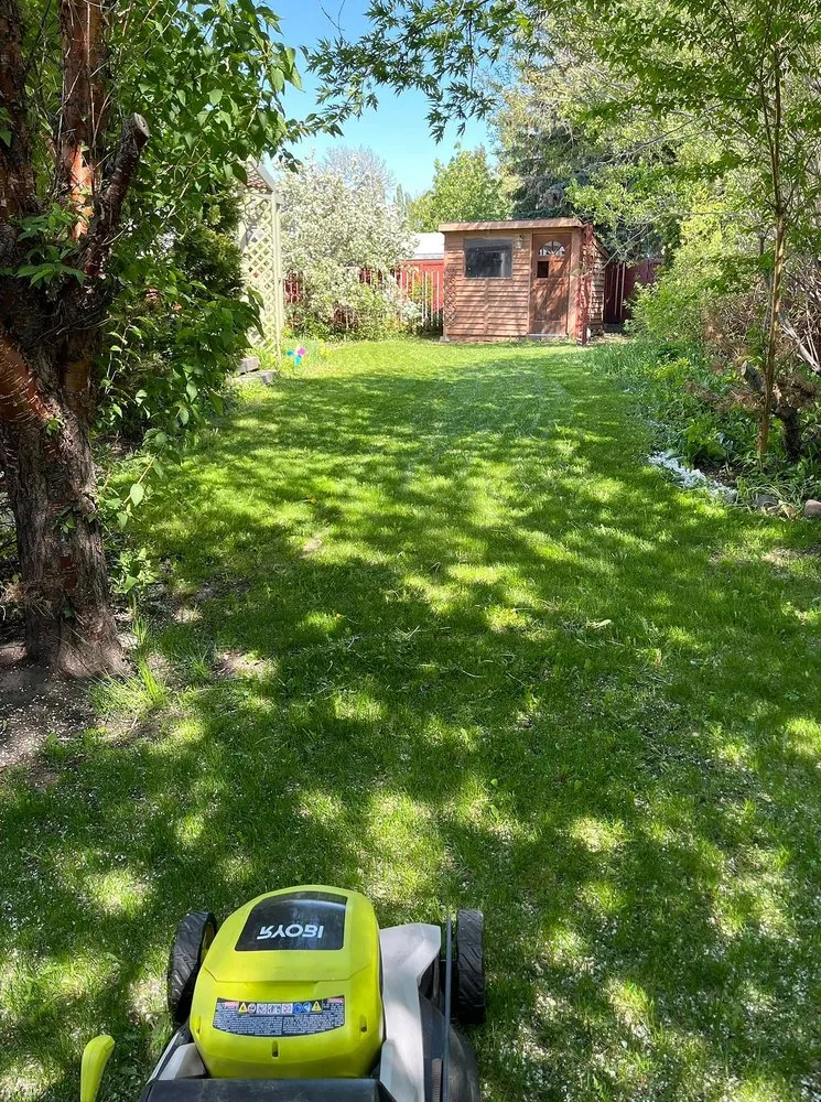 Expert lawn mowing service for outdoor upgrades in Richmond, VA by Carytown Lawn Services