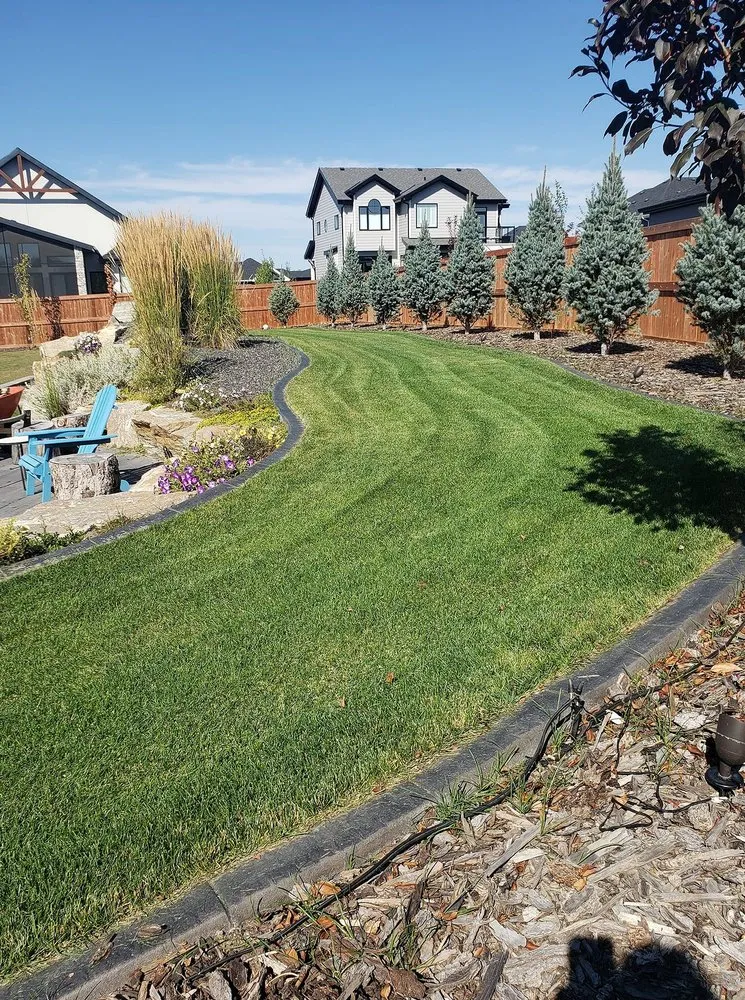 Professional residential landscaping in Richmond, VA by Carytown Lawn Services