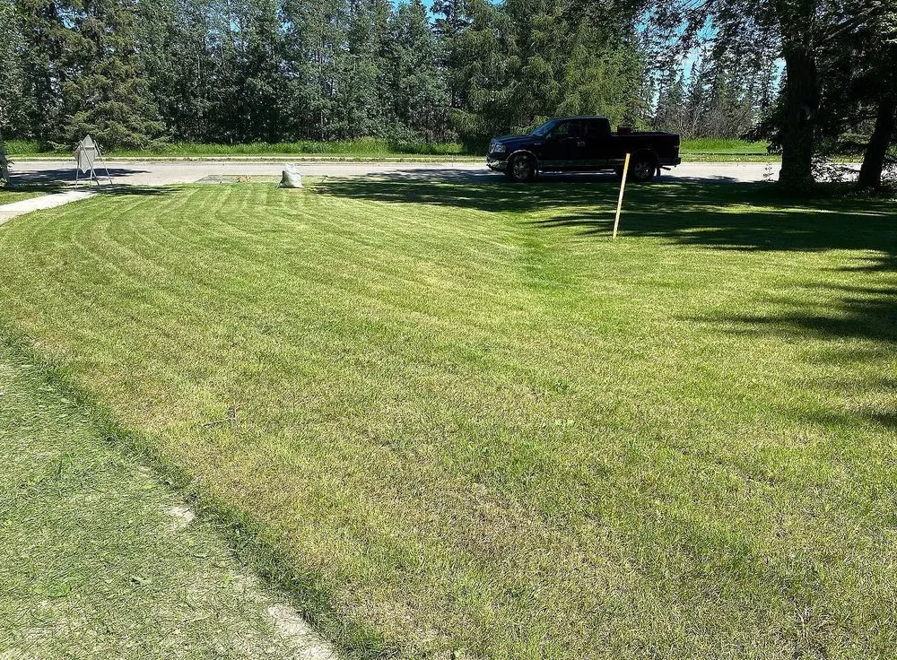 Professional residential landscaping for residential properties in Richmond, VA by Carytown Lawn Services