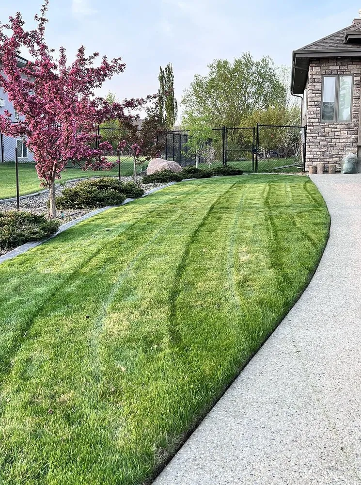Affordable outdoor landscaping in Richmond, VA - Carytown Lawn Services