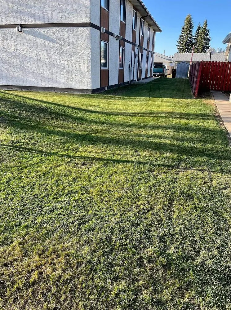 Expert lawn mowing service for outdoor upgrades in Richmond, VA by Carytown Lawn Services