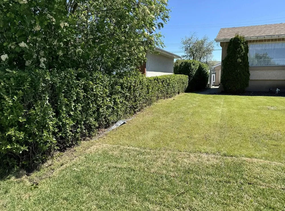 Affordable lawn care service for homes in Richmond, VA by Carytown Lawn Services