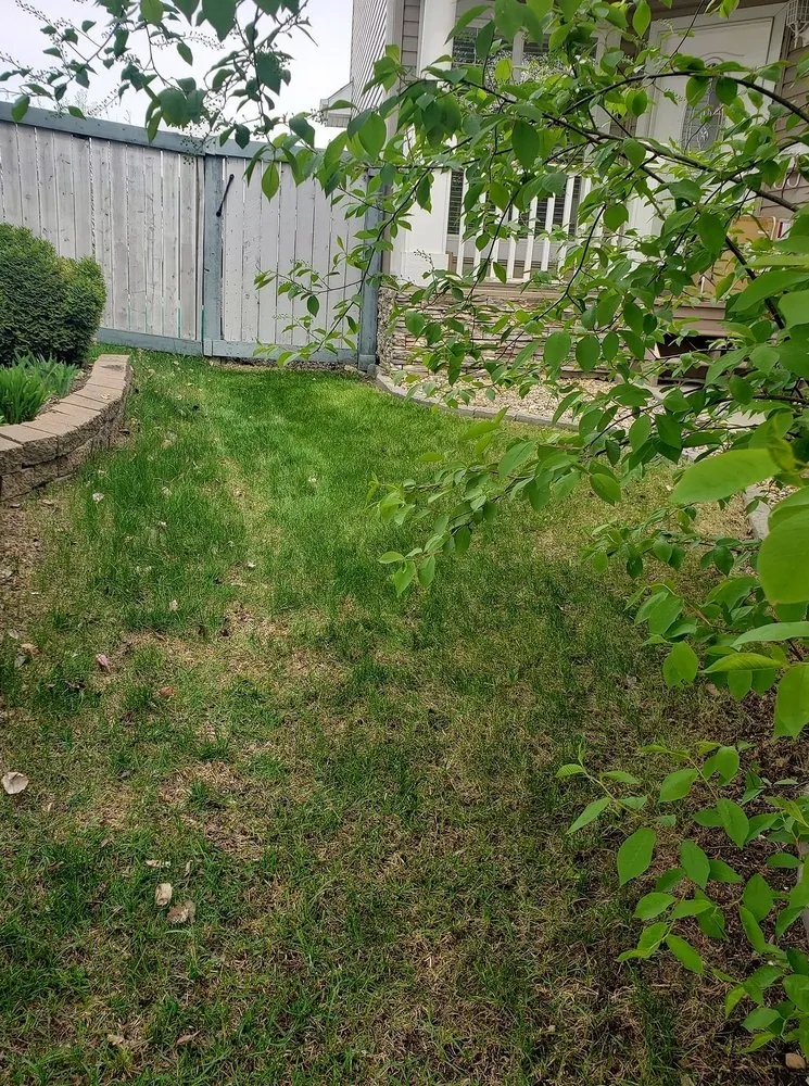 Expert outdoor landscaping for homes across Richmond, VA - Carytown Lawn Services