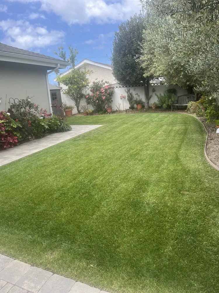 Trusted yard cleanup service experts serving Carson, CA - Casa Blanca Landcare