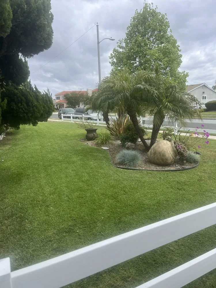 Trusted yard cleanup service in Carson, CA by Casa Blanca Landcare