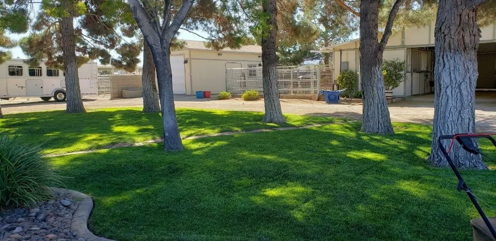 Trusted garden landscaping in North Las Vegas, NV by Casa Bonita Housekeeping and Landscaping