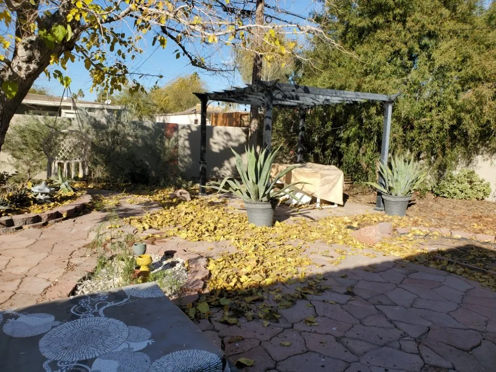 Local lawn care service in North Las Vegas, NV - Casa Bonita Housekeeping and Landscaping