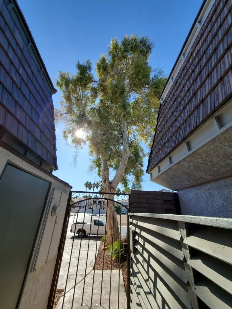 Professional landscape installation for outdoor upgrades in North Las Vegas, NV by Casa Bonita Housekeeping and Landscaping