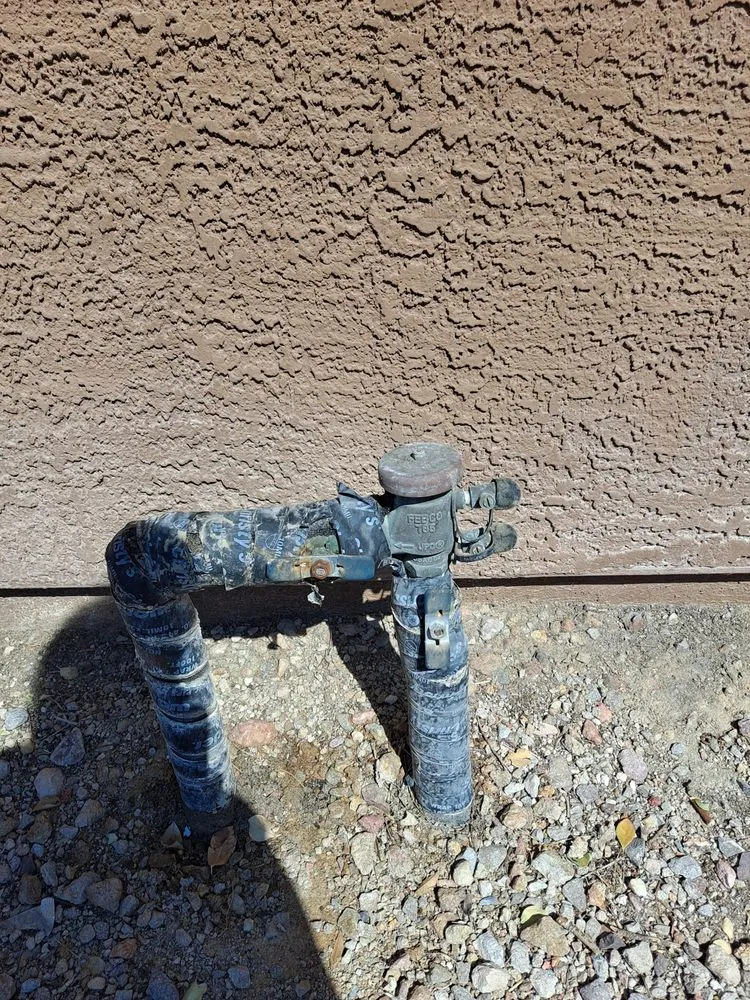 Top-rated landscape design for homes across North Las Vegas, NV - Casa Bonita Housekeeping and Landscaping