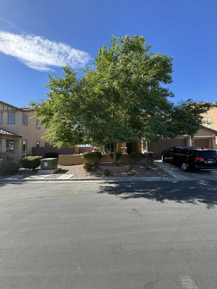 Custom outdoor landscaping with custom design in North Las Vegas, NV by Casa Bonita Housekeeping and Landscaping