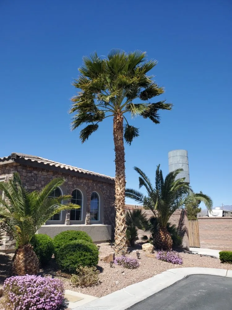 Trusted garden landscaping experts serving North Las Vegas, NV - Casa Bonita Housekeeping and Landscaping