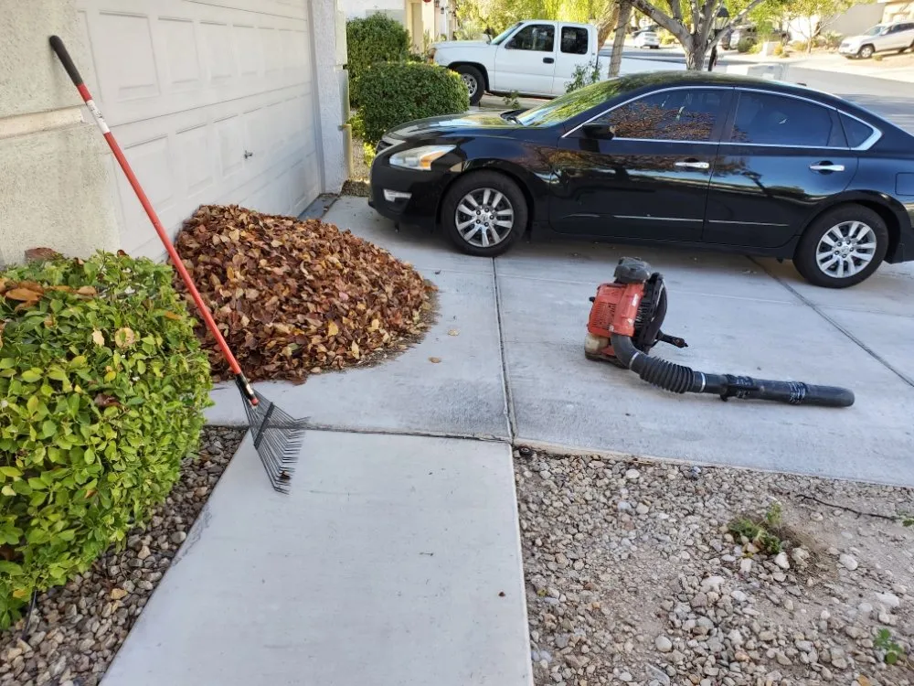 Reliable residential landscaping for homes across North Las Vegas, NV - Casa Bonita Housekeeping and Landscaping