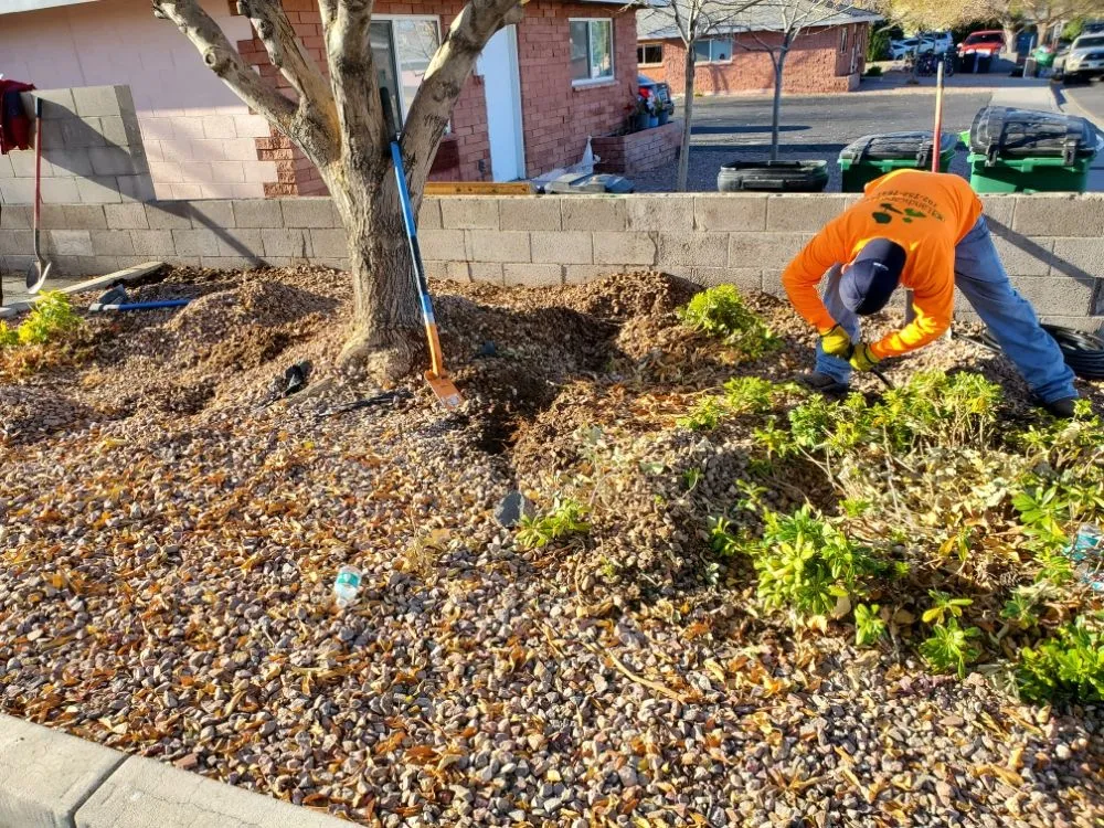 Expert landscape design experts serving North Las Vegas, NV - Casa Bonita Housekeeping and Landscaping