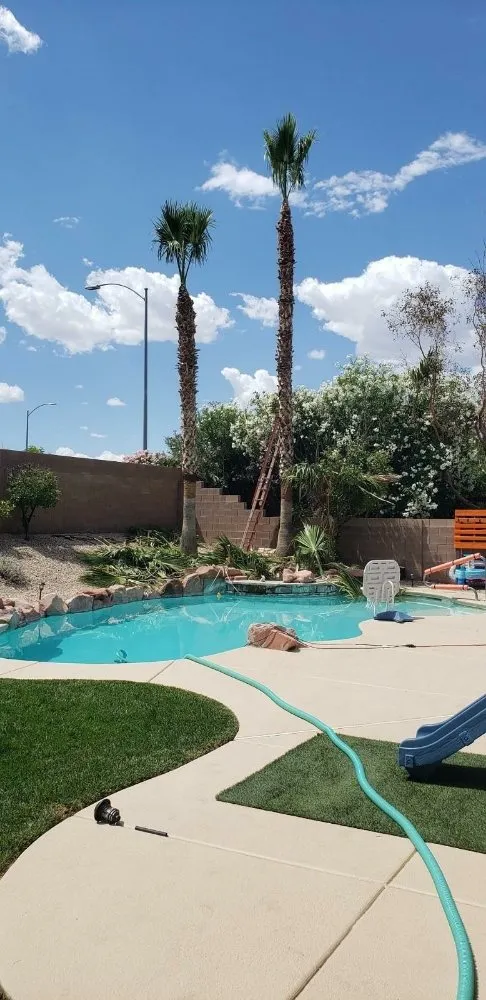 Professional lawn care service in North Las Vegas, NV - Casa Bonita Housekeeping and Landscaping