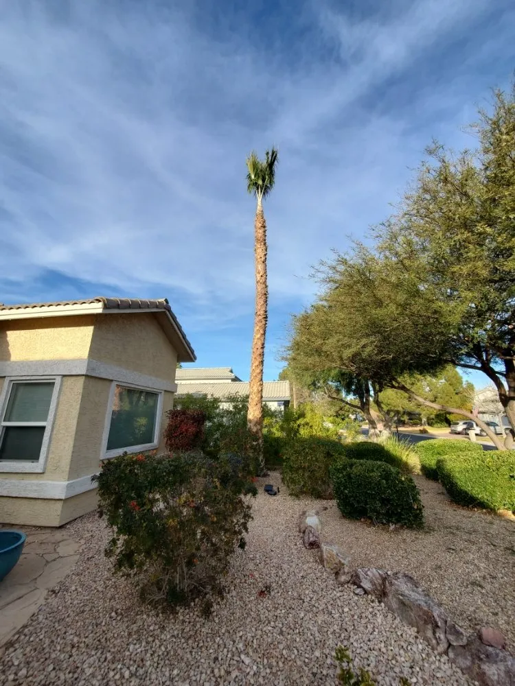 Affordable landscape installation experts serving North Las Vegas, NV - Casa Bonita Housekeeping and Landscaping