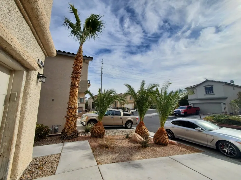 Expert residential landscaping for beautiful yards in North Las Vegas, NV by Casa Bonita Housekeeping and Landscaping