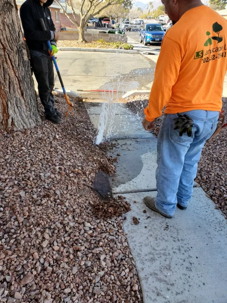 Local garden landscaping for residential properties across North Las Vegas, NV - Casa Bonita Housekeeping and Landscaping