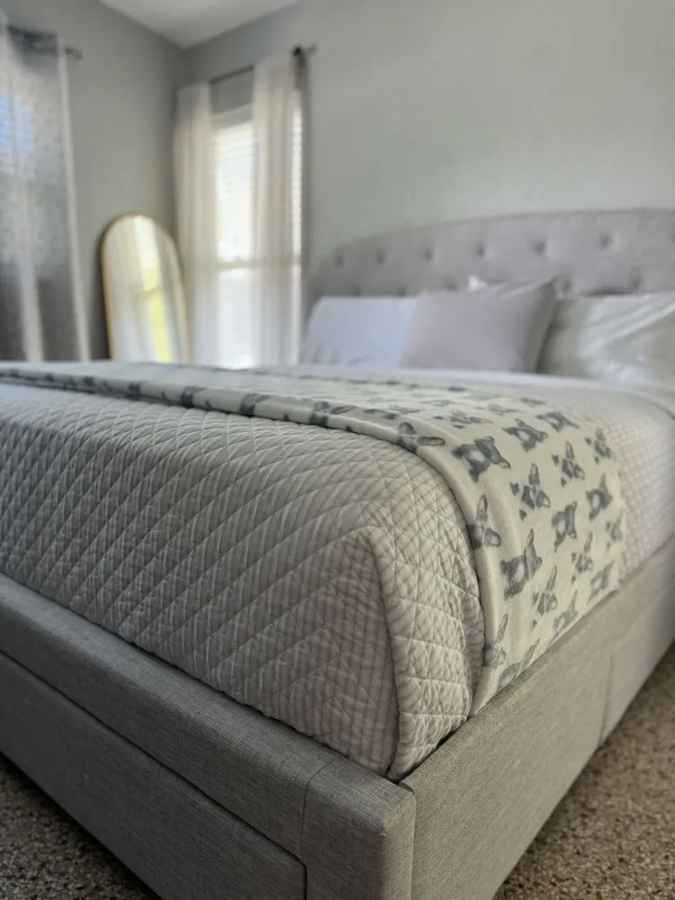 Affordable yard cleanup service for homes in Largo, FL by Casa Care