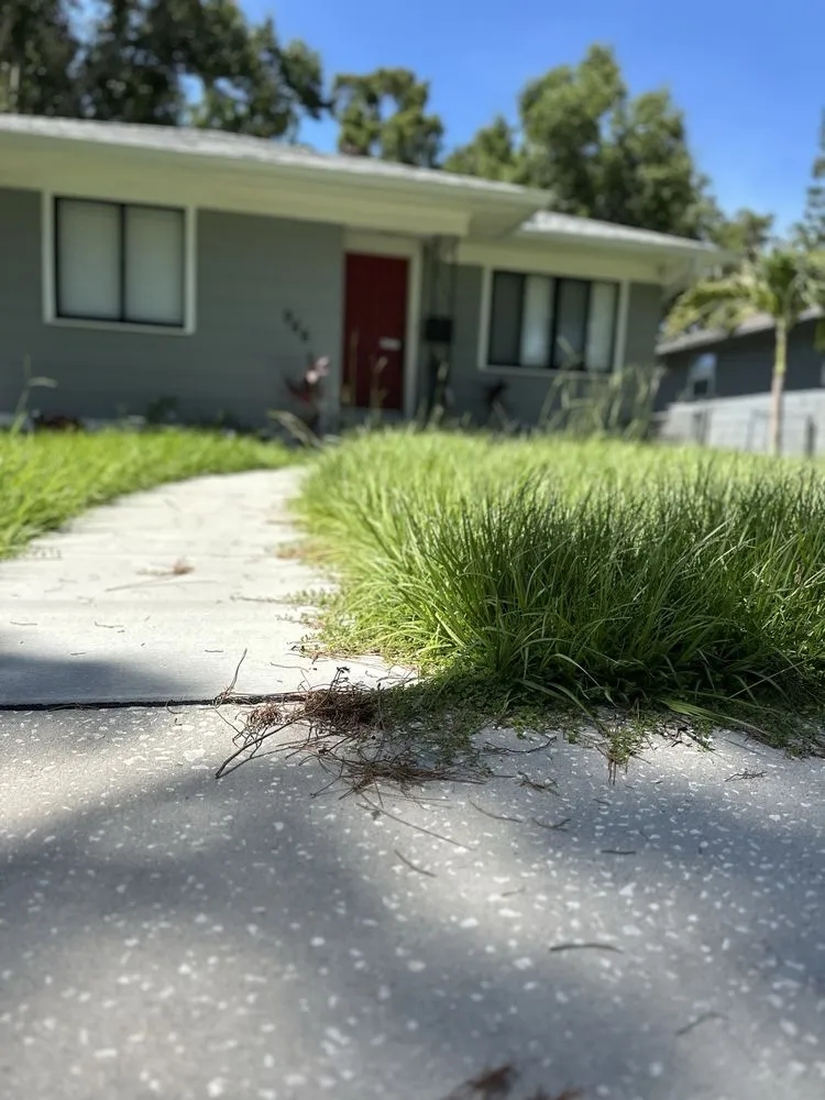Local landscape design in Largo, FL by Casa Care
