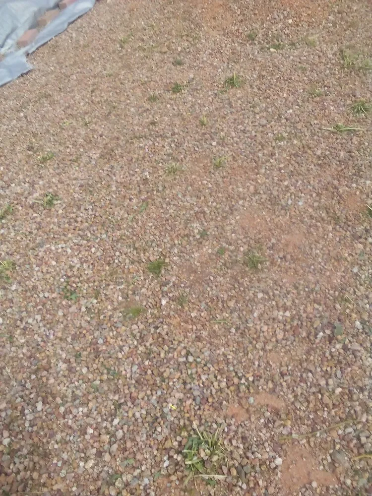 Expert yard cleanup service for residential properties across Tucson, AZ - Casa de la M landscaping