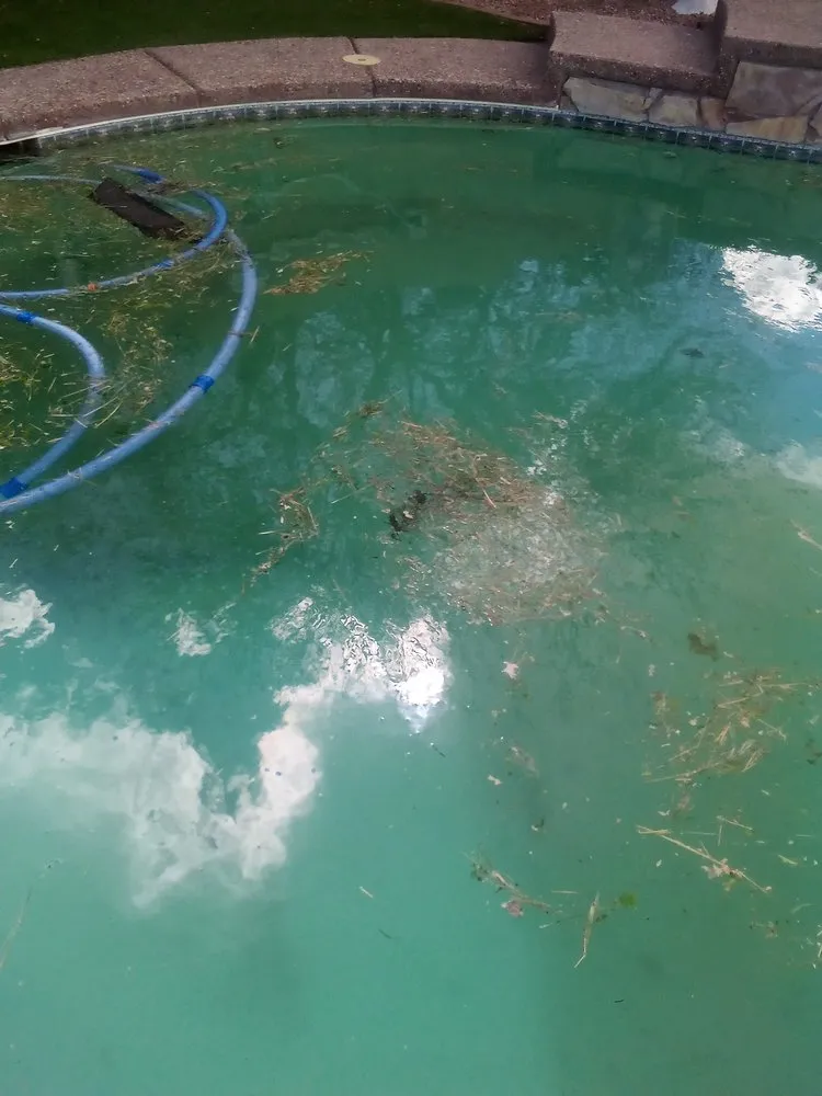 Affordable outdoor landscaping with custom design in Tucson, AZ by Casa de la M landscaping