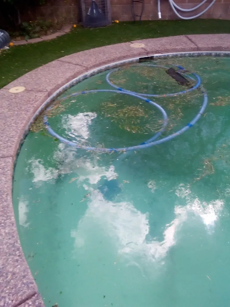 Affordable yard maintenance experts serving Tucson, AZ - Casa de la M landscaping