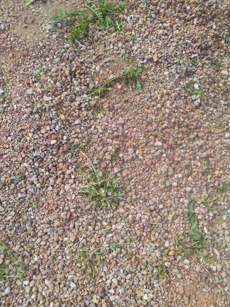 Trusted landscaping services for residential properties across Tucson, AZ - Casa de la M landscaping