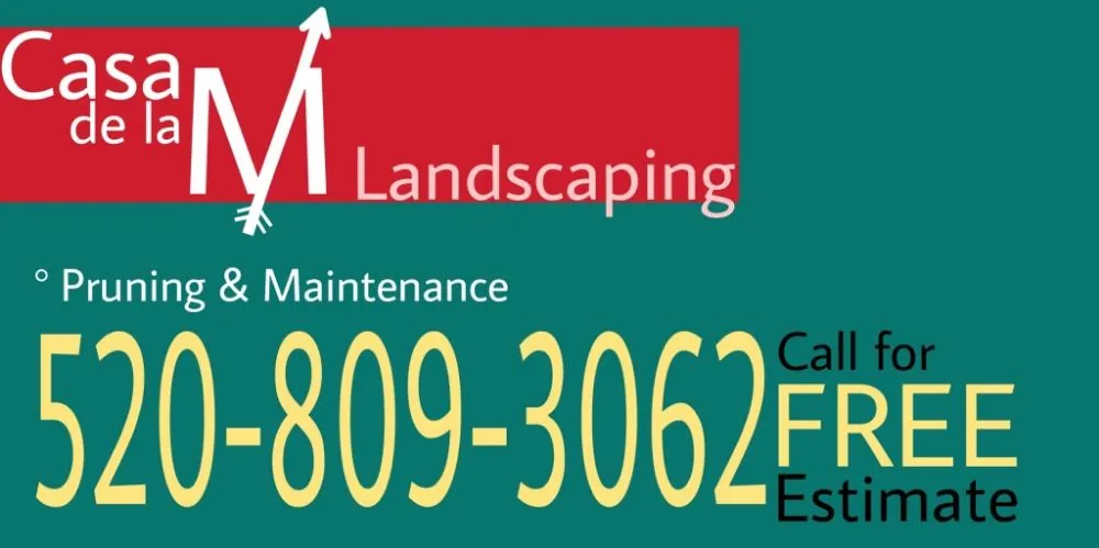 Expert lawn care service in Tucson, AZ by Casa de la M landscaping
