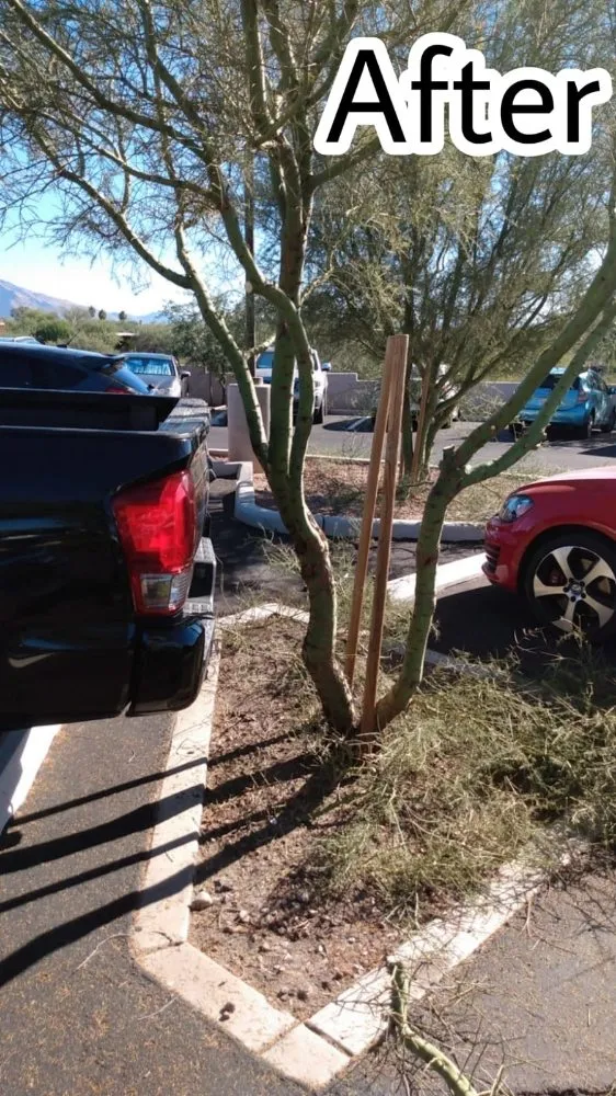 Trusted lawn mowing service experts serving Tucson, AZ - Casa de la M landscaping