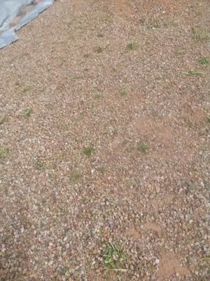 Casa de la M landscaping Logo