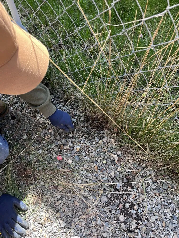 Professional lawn care service in Coeur d'Alene, ID - Casa G