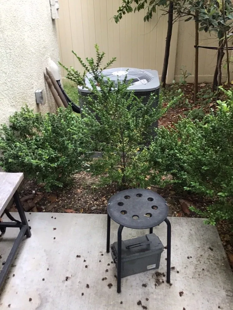 Expert landscape design near you across Compton, CA - Casa Grande Landscaping