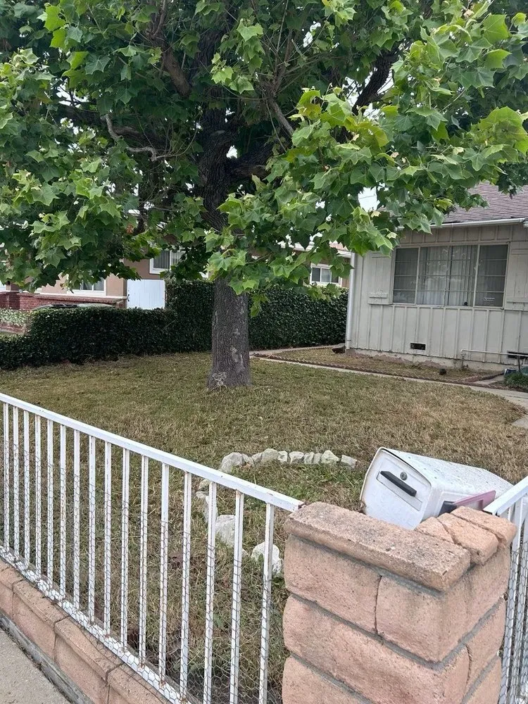 Expert yard maintenance for year-round maintenance across Compton, CA - Casa Grande Landscaping