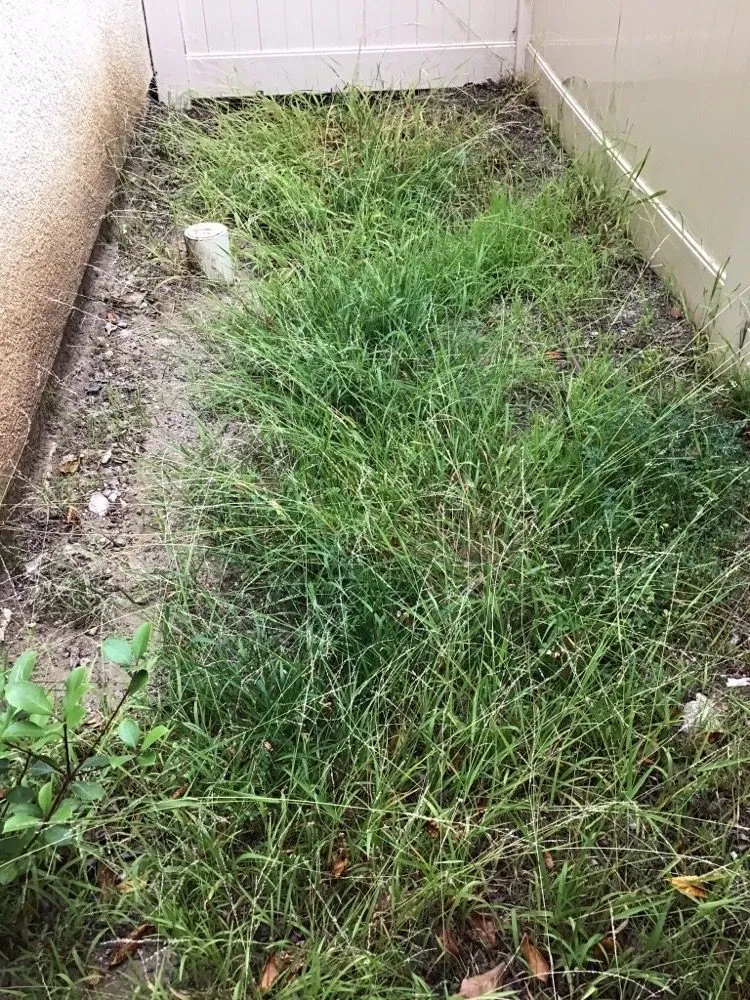 Reliable landscape design in Compton, CA - Casa Grande Landscaping