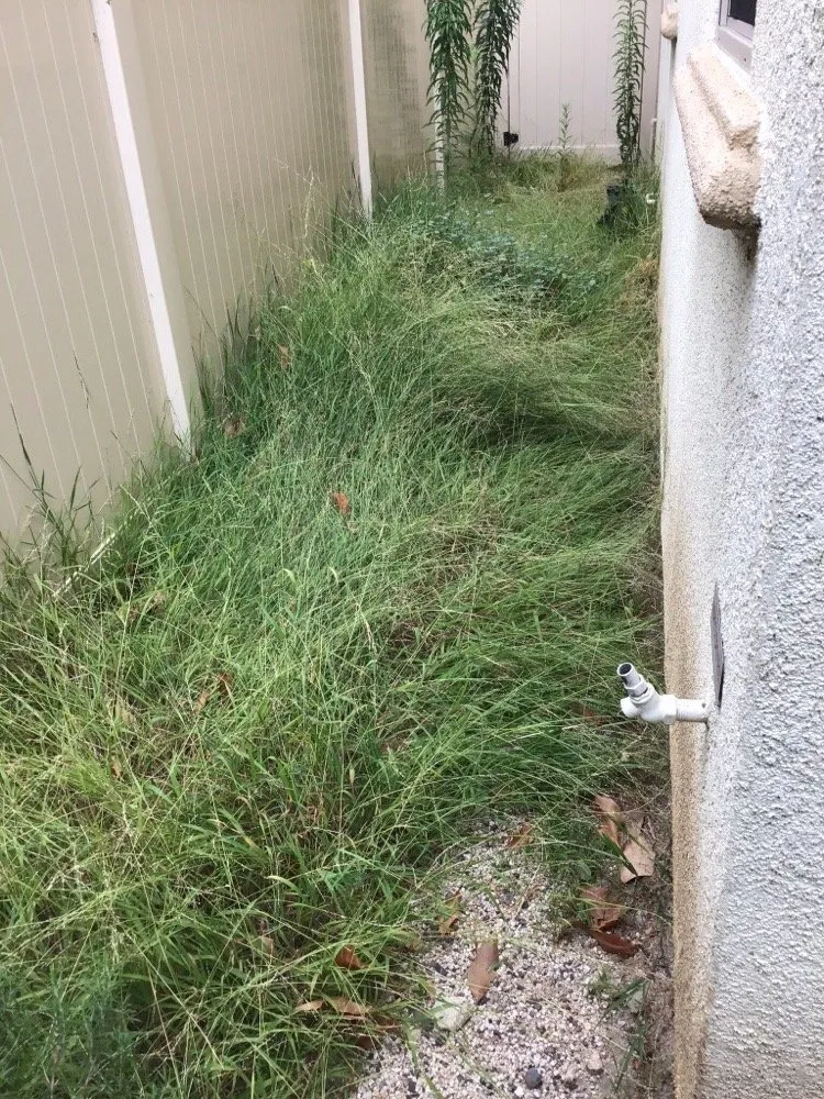 Reliable landscape installation in Compton, CA by Casa Grande Landscaping