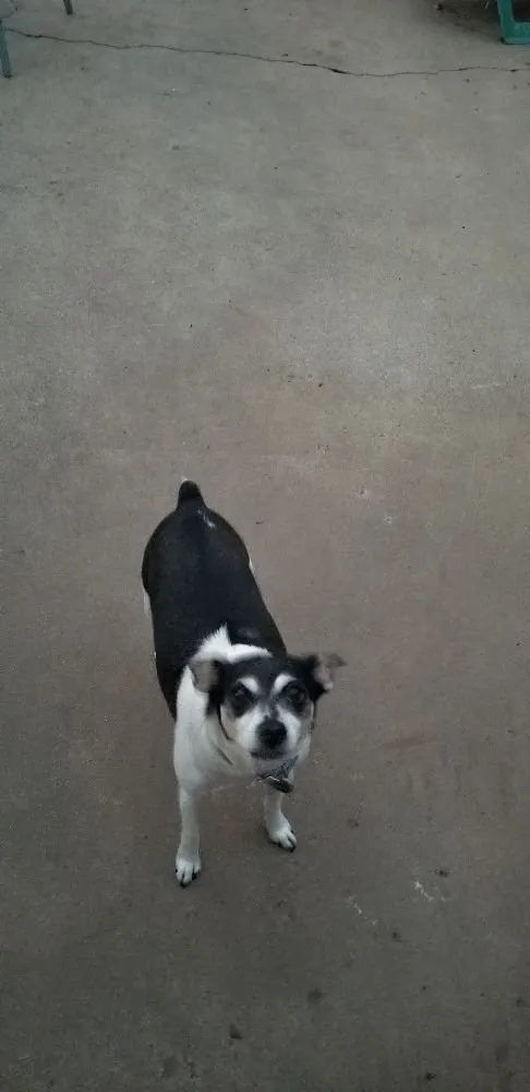 Local yard maintenance for beautiful yards across Santa Barbara, CA - Casa Landscape Maintenance