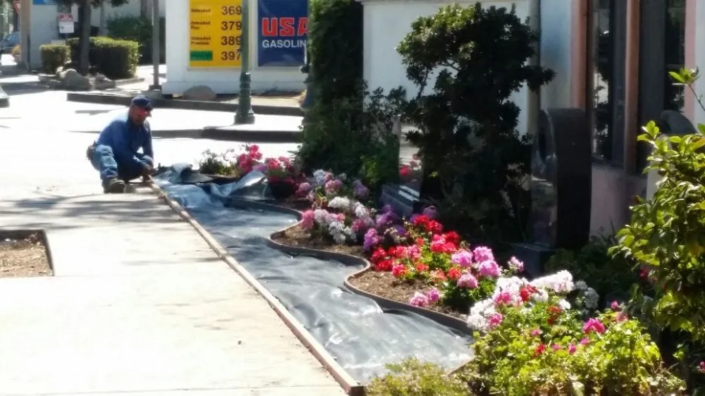 Local residential landscaping experts serving Santa Barbara, CA - Casa Landscape Maintenance